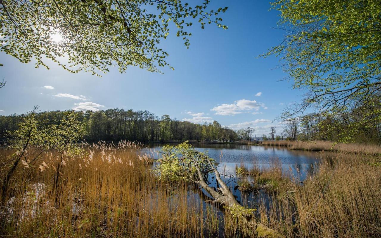 Ferienwohnung Viola Glucksburg Bagian luar foto